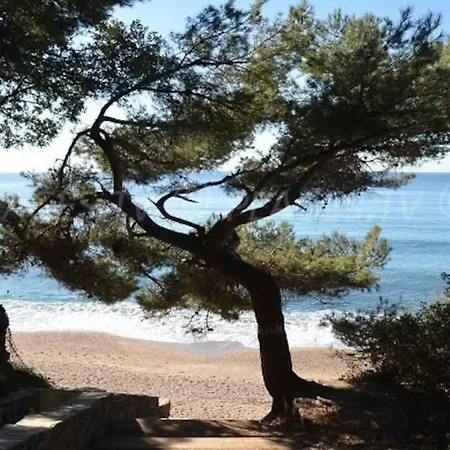 Lägenhet L'Appartement Le Pradet